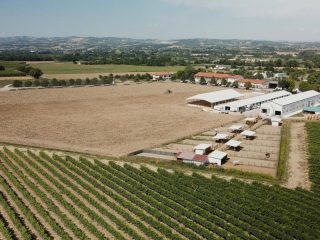 Fondazione Fornino Valmori -Documentario