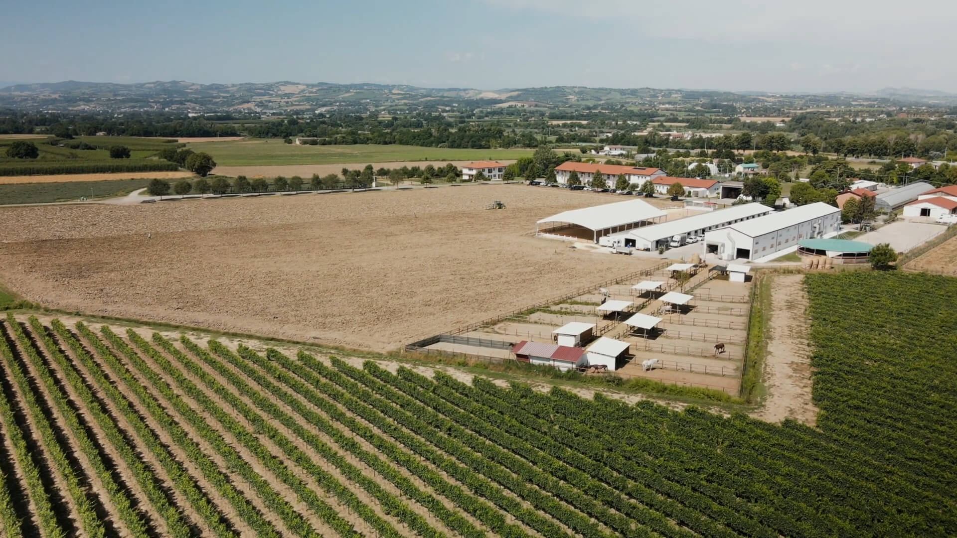 Fondazione Fornino Valmori -Documentario