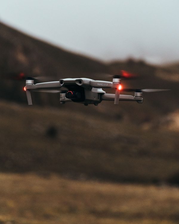 Foreste Casentinesi Vintage - Dopo