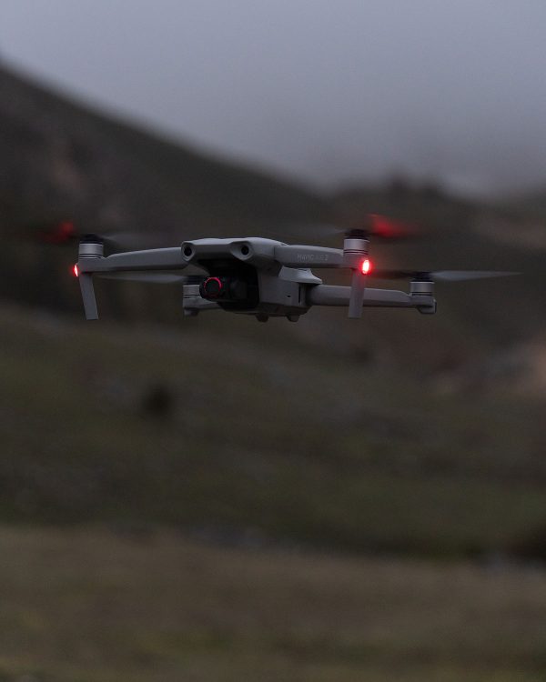 Foreste Casentinesi Vintage - Prima