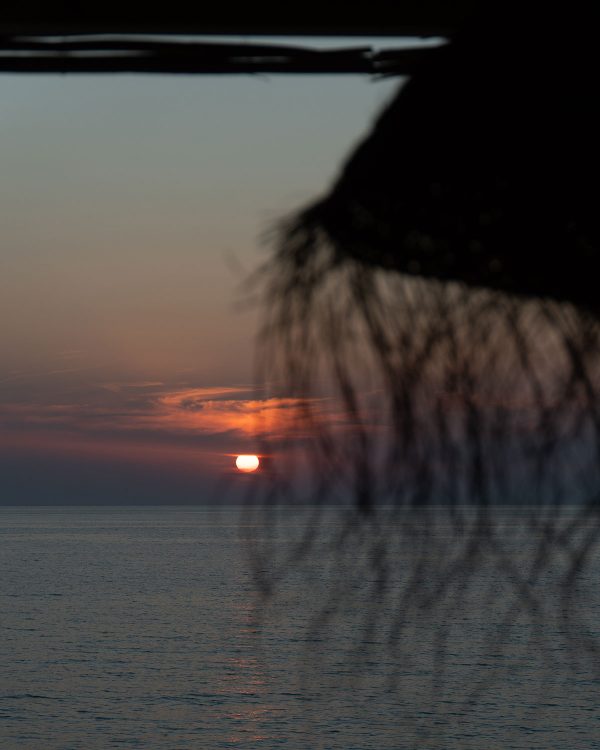 Sunset Lover - Prima